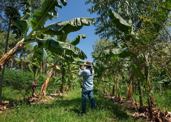 Radar AgTech mapeia 2.656 startups na América Latina