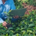 Rigor sanitário blinda agro brasileiro das tarifas dos EUA