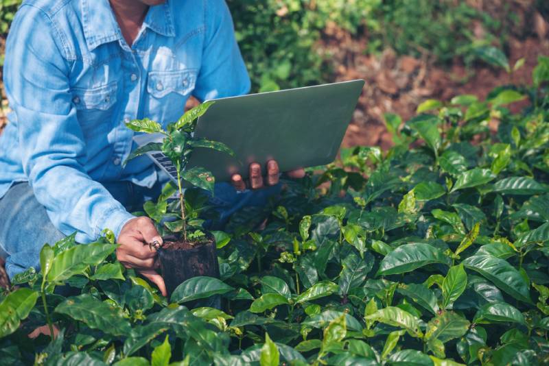 Rigor sanitário blinda agro brasileiro das tarifas dos EUA