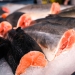 São Paulo suspende ICMS para pescados importados