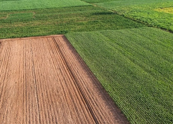 SLC compra 8,9 mil hectares no Mato Grosso