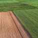 SLC compra 8,9 mil hectares no Mato Grosso