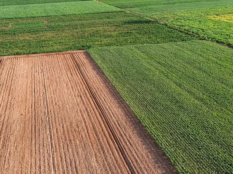 SLC compra 8,9 mil hectares no Mato Grosso