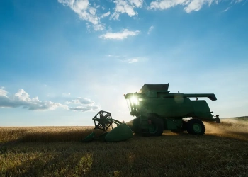 Itaú BBA mira bioenergia em crédito agro seletivo