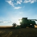 Itaú BBA mira bioenergia em crédito agro seletivo