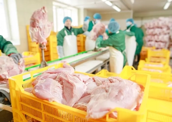 China ganha espaço no mercado global de frango