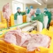 China ganha espaço no mercado global de frango