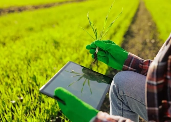 IA avança da lavoura para a gestão do agro