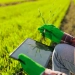 IA avança da lavoura para a gestão do agro