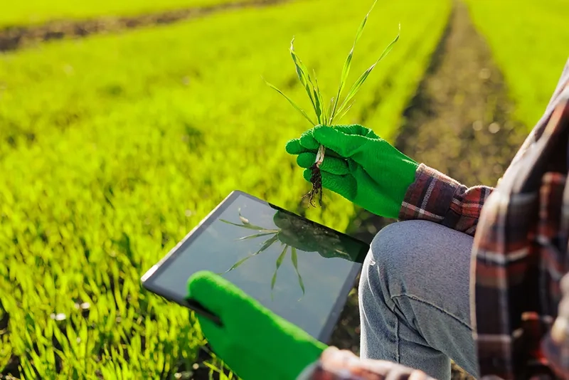 IA avança da lavoura para a gestão do agro