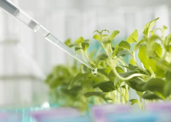 Bioinsumos movimentam R$ 1,3 bi antes da Safra 26/27
