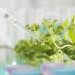 Bioinsumos movimentam R$ 1,3 bi antes da Safra 26/27