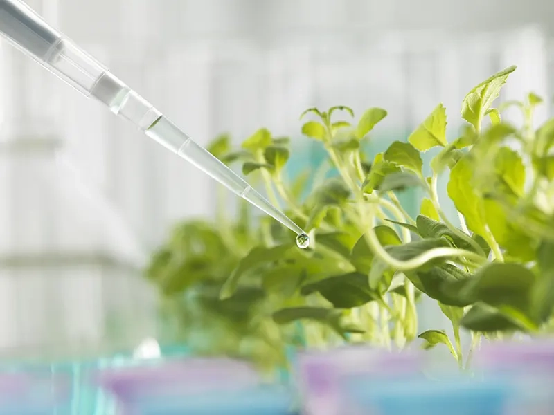 Bioinsumos movimentam R$ 1,3 bi antes da Safra 26/27
