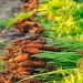 Perecíveis puxam crescimento no varejo alimentar