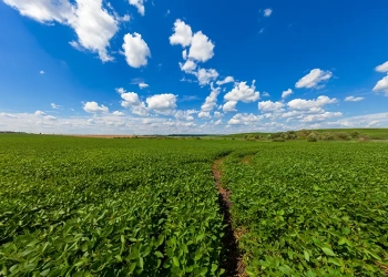 Safra forte expõe caixa frágil no agro